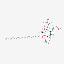 Picture of Phorbol 12-Myristate 13-acetate (Standard Reference Material)