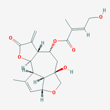 Picture of Eupalinilide C(Standard Reference Material)