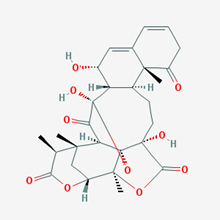 Picture of Physalin L(Standard Reference Material)