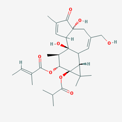 Picture of 12-O-Tiglylphorbol-13 –isobutyrate(Standard Reference Material)