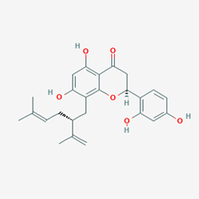 Picture of Nor-kurarinone(Standard Reference Material)