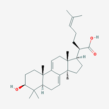 Picture of Dehydrotrametenolic acid(Standard Reference Material)