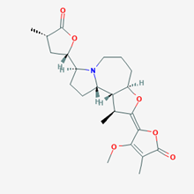 Picture of Protostemonine(Standard Reference Material)