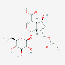 Picture of Paederosidic acid(Standard Reference Material)