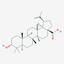 Picture of 3-Epibetulinic acid(Standard Reference Material)