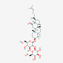 Picture of Ginsenoside Rk1(Standard Reference Material)