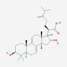 Picture of Dehydrotumulosic acid(Standard Reference Material)