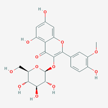 Picture of Isorhamnetin 3-O-β-D-glucoside(Standard Reference Material)