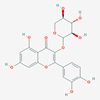 Picture of Quercetin 3-O-β-D-xylopyranoside(Standard Reference Material)