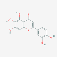 Picture of Nepetin(Standard Reference Material)