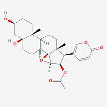 Picture of Cinobufotalin(Standard Reference Material)