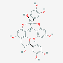 Picture of Procyanidin A2(Standard Reference Material)