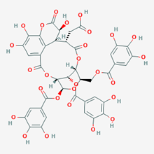 Picture of Chebulinic acid(Standard Reference Material)