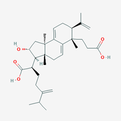 Picture of Poricoic acid A(Standard Reference Material)