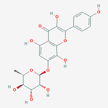 Picture of Rhodionin(Standard Reference Material)