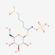 Picture of Glucoraphanin(Standard Reference Material)