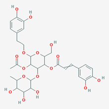 Picture of 2-Acetylacteoside(Standard Reference Material)