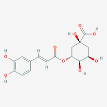 Picture of Chlorogenic acid(Standard Reference Material)