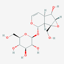 Picture of Catalpol(Standard Reference Material)