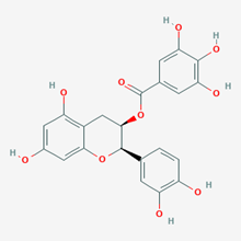 Picture of Epicatechin gallate(Standard Reference Material)