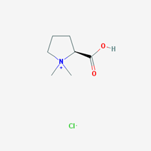 Picture of Stachydrine hydrochloride (Standard Reference Material)