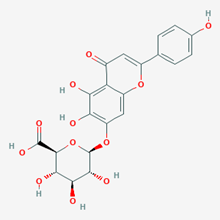 Picture of Scutellarin(Standard Reference Material)