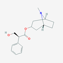 Picture of L-Hyoscyamine(Standard Reference Material)