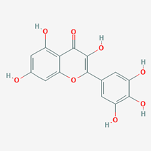 Picture of Myricetin(Standard Reference Material)