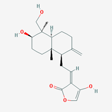 Picture of Dehydroandrographolide(Standard Reference Material)