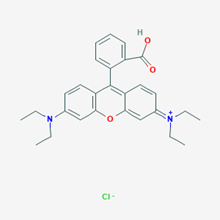 Picture of Rhodamine B(Standard Reference Material)