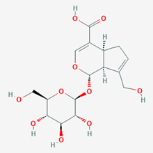 Picture of Geniposidic acid(Standard Reference Material)