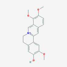 Picture of Jatrorrhizine(Standard Reference Material)