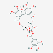 Picture of Corilagin(Standard Reference Material)