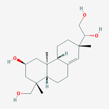 Picture of Kirenol(Standard Reference Material)