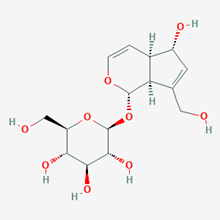 Picture of Aucubin(Standard Reference Material)