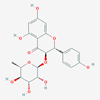 Picture of Engeletin(Standard Reference Material)