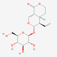 Picture of Sweroside(Standard Reference Material)