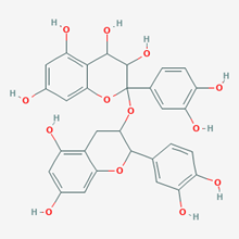 Picture of Procyanidin(Standard Reference Material)