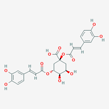 Picture of Dicaffeoylquinic Acid, 1,5-(Standard Reference Material)