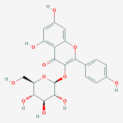 Picture of Astragalin(Standard Reference Material)