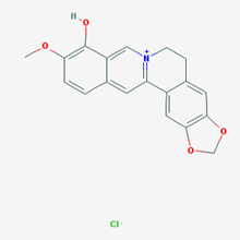 Picture of Berberrubine(Standard Reference Material)