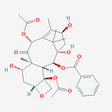 Picture of Baccatine III(Standard Reference Material)