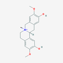 Picture of Phellodendrine(Standard Reference Material)