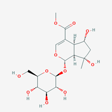 Picture of Shanzhiside methyl ester(Standard Reference Material)