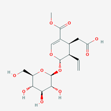 Picture of Secoxyloganin(Standard Reference Material)