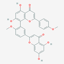 Picture of Isoginkgetin(Standard Reference Material)