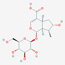 Picture of Loganic acid(Standard Reference Material)