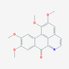 Picture of Oxoglaucine(Standard Reference Material)