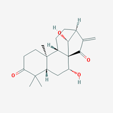 Picture of Glaucocalyxin A(Standard Reference Material)