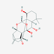 Picture of Ponicidin/Rubescensin B(Standard Reference Material)